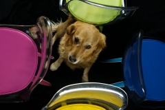 Agosto - Sunny con Sedie mod. SN