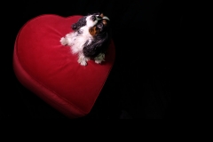 Febbraio - Audrey su Pouf mod. Cuore